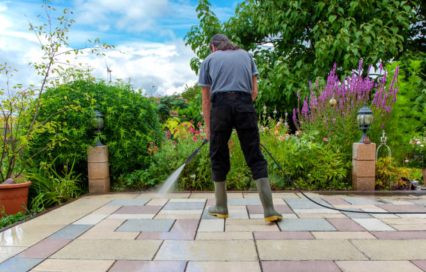 Animal Enclosure Cleaning in Eastpoint, FL